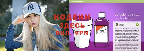 мет Няндома
