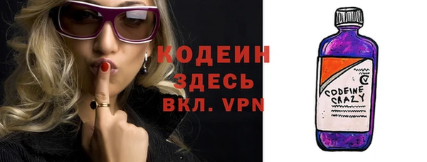 мет Няндома