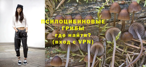 экстази Нязепетровск